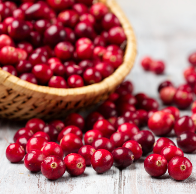 Cranberry: o que tem de especial nessa fruta?